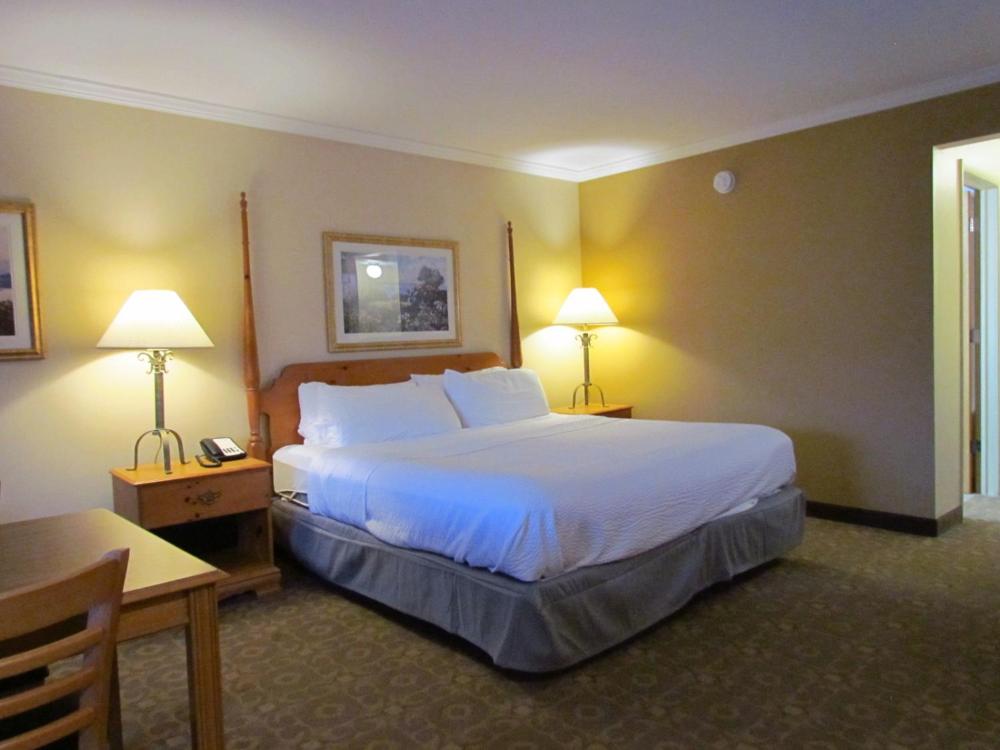 Executive King Suite with Jetted Tub interior